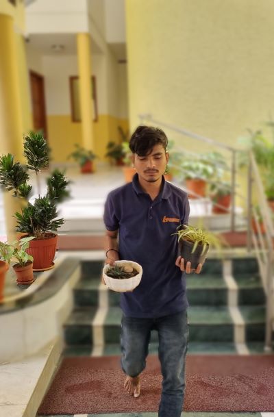 gosmart movers moving flower pots